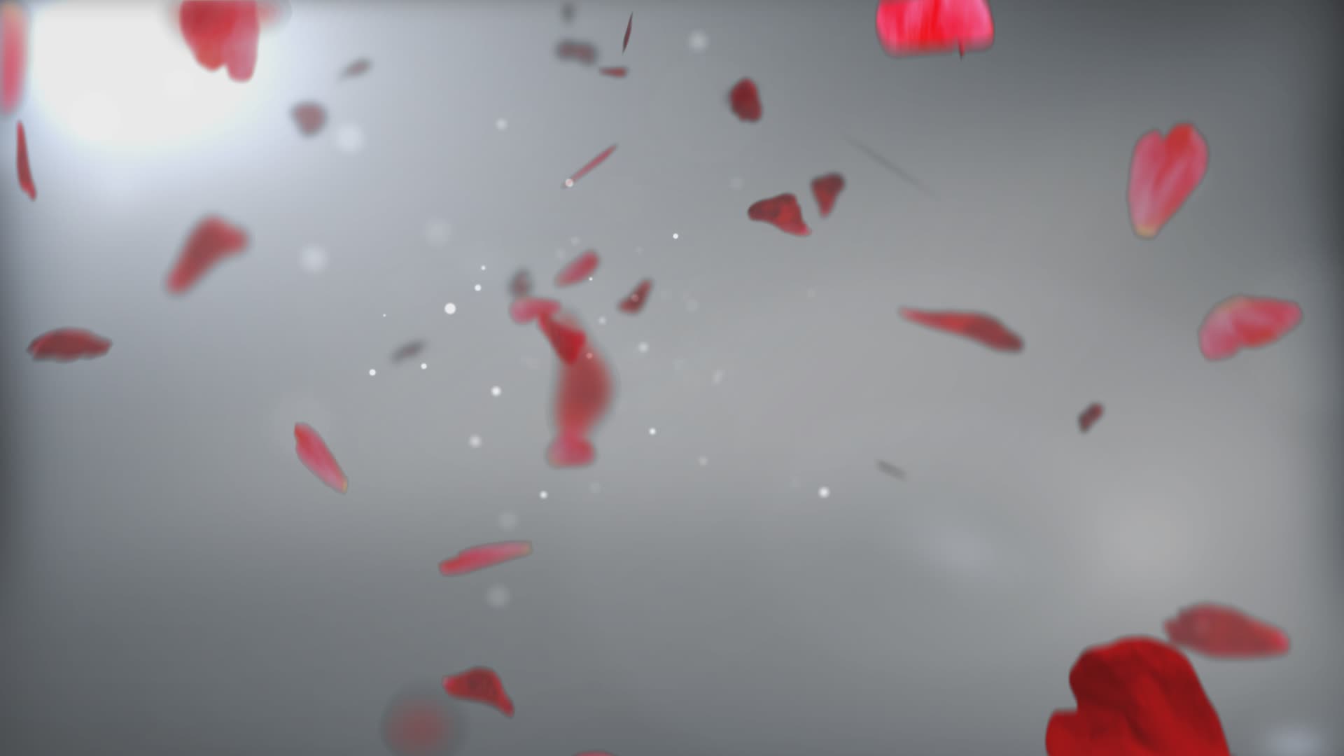 Realisation Diaporama Mariage Theme La Vie En Rose Videos